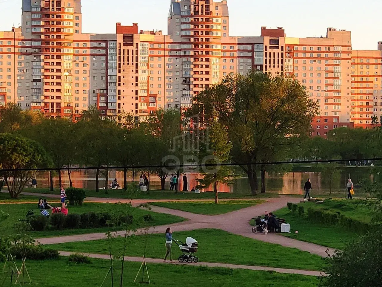 однокомнатная квартира в Санкт-Петербурге по адресу: Сиреневый б-р., 2, к Й