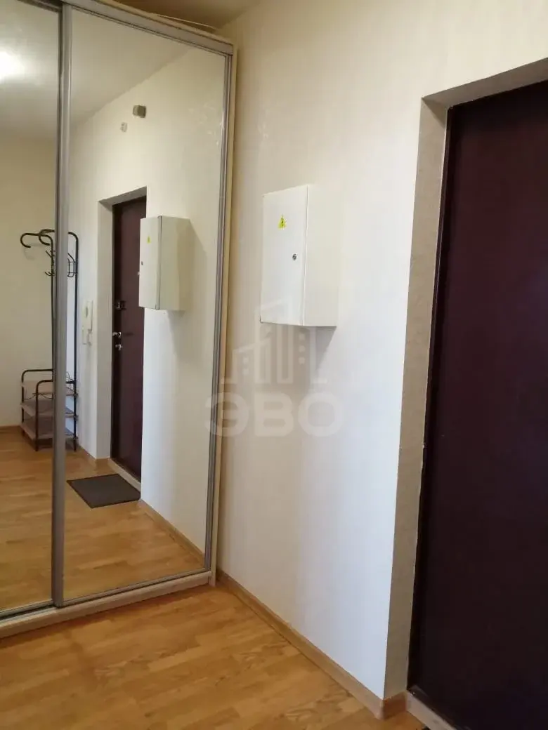 однокомнатная квартира в Санкт-Петербурге по адресу: Энгельса проспект, 93