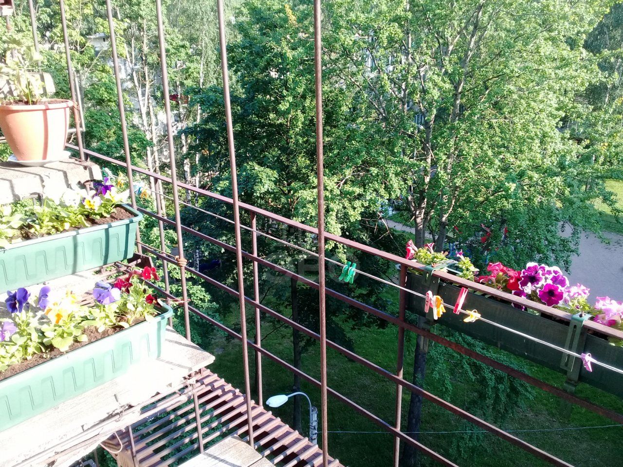 комната в Санкт-Петербурге по адресу: Демьяна Бедного ул., 31