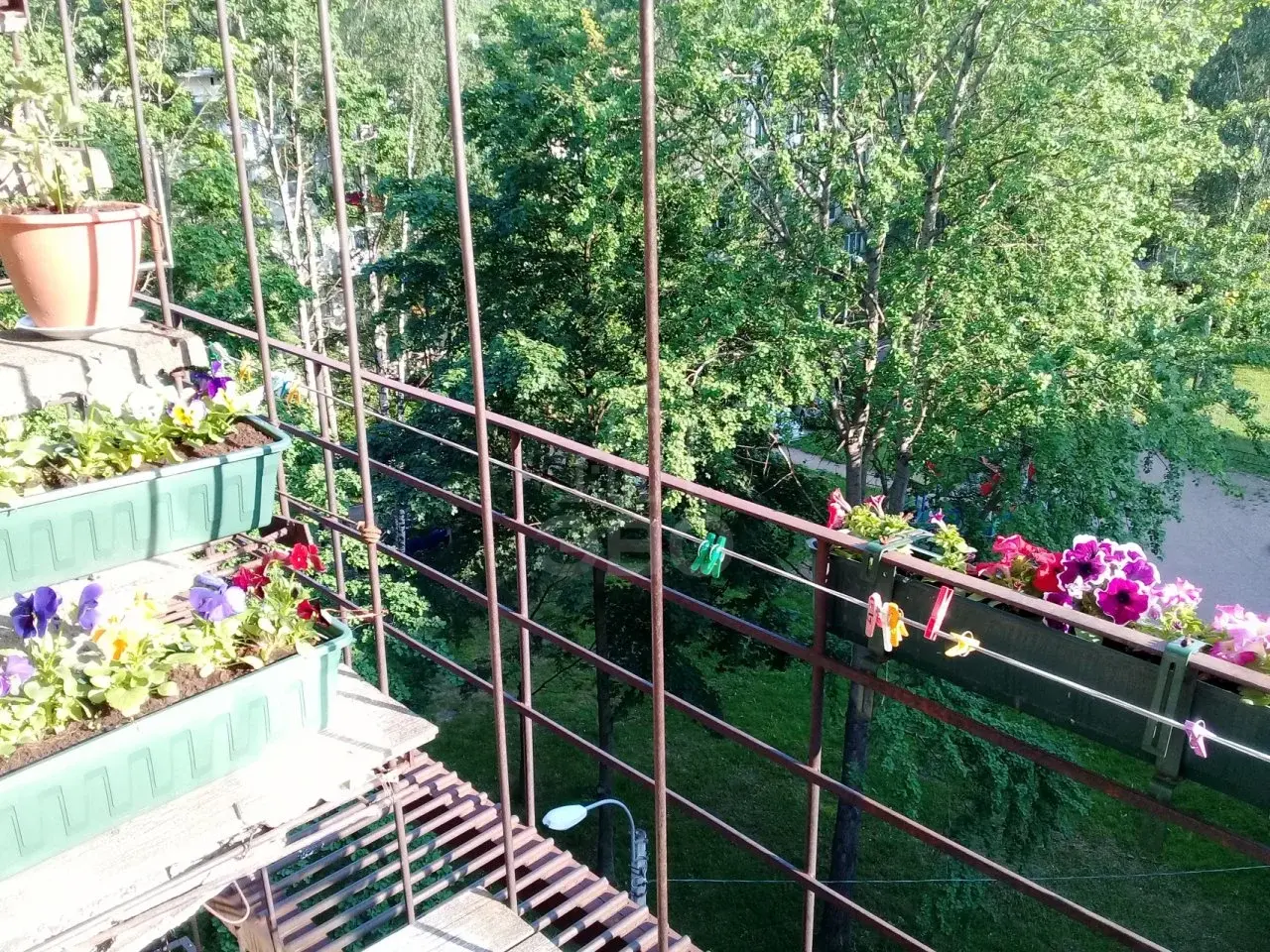 комната в Санкт-Петербурге по адресу: Демьяна Бедного ул., 31