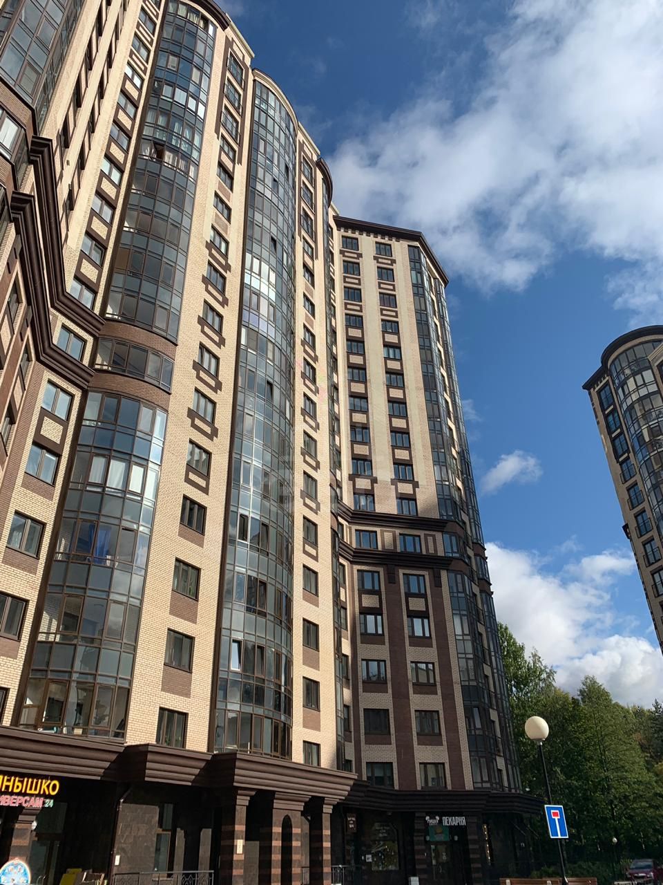 однокомнатная квартира в Санкт-Петербурге по адресу: Фермское ш., 16