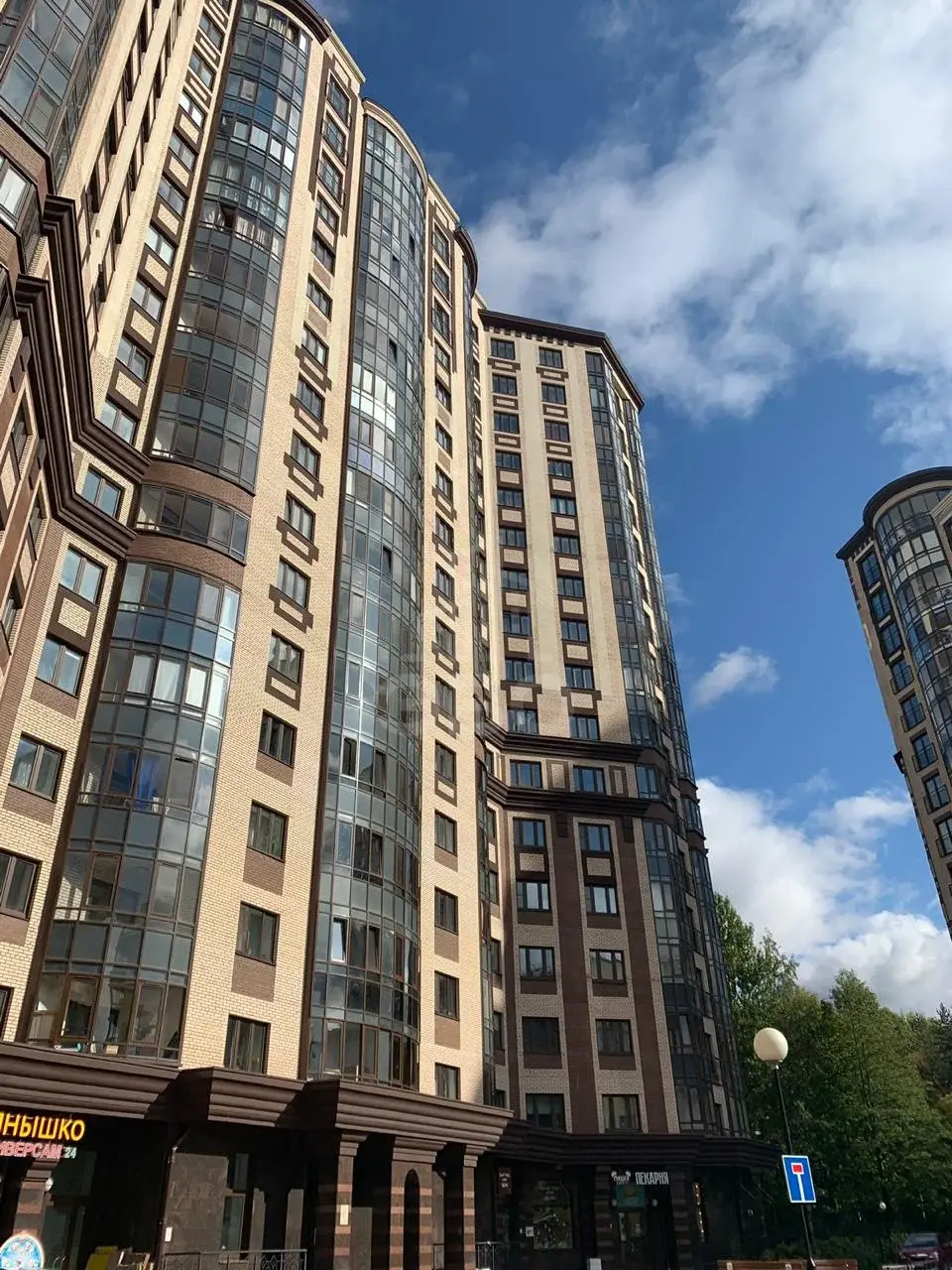 однокомнатная квартира в Санкт-Петербурге по адресу: Фермское ш., 16
