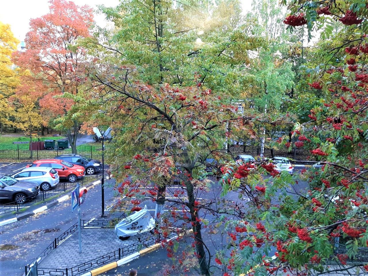 комната в Санкт-Петербурге по адресу: Художников проспект, 5, к 1