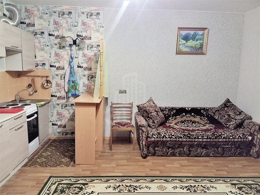 однокомнатная квартира в Санкт-Петербурге по адресу: Ушаковская наб., 1, к 4