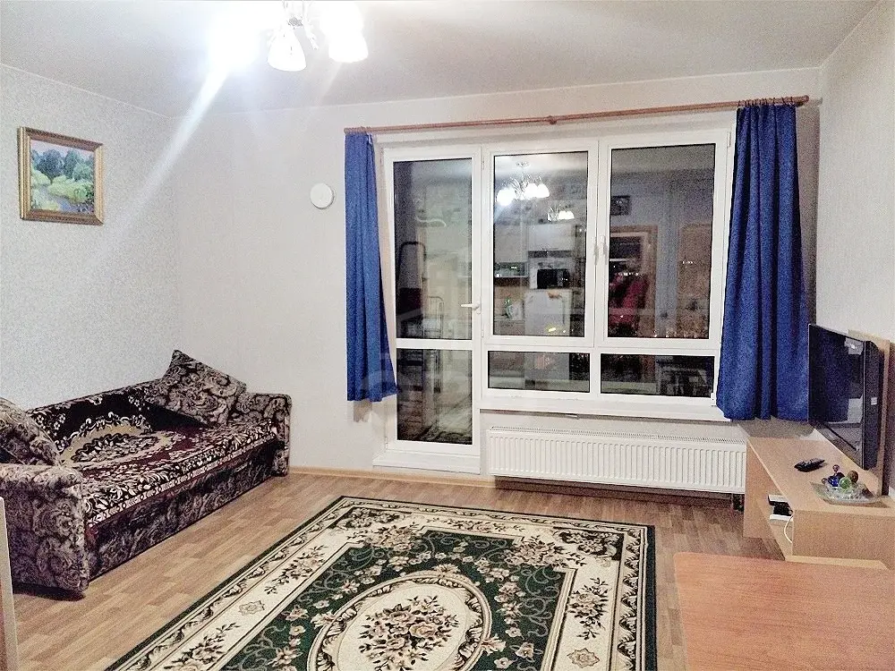однокомнатная квартира в Санкт-Петербурге по адресу: Ушаковская наб., 1, к 4