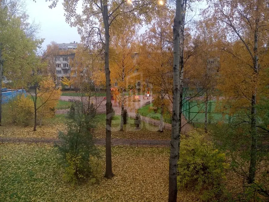 комната в Санкт-Петербурге по адресу: Крыленко ул., 29, к 4