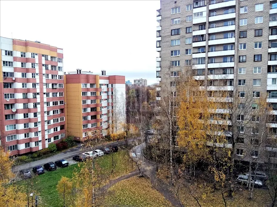 однокомнатная квартира в Санкт-Петербурге по адресу: Тельмана ул., 40