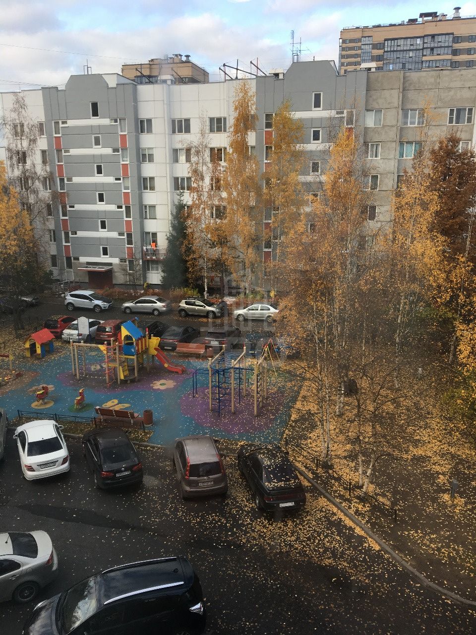 однокомнатная квартира в Санкт-Петербурге по адресу: Репищева ул., 9