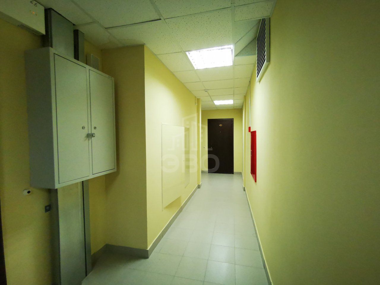 однокомнатная квартира в Санкт-Петербурге по адресу: Просвещения проспект, 43