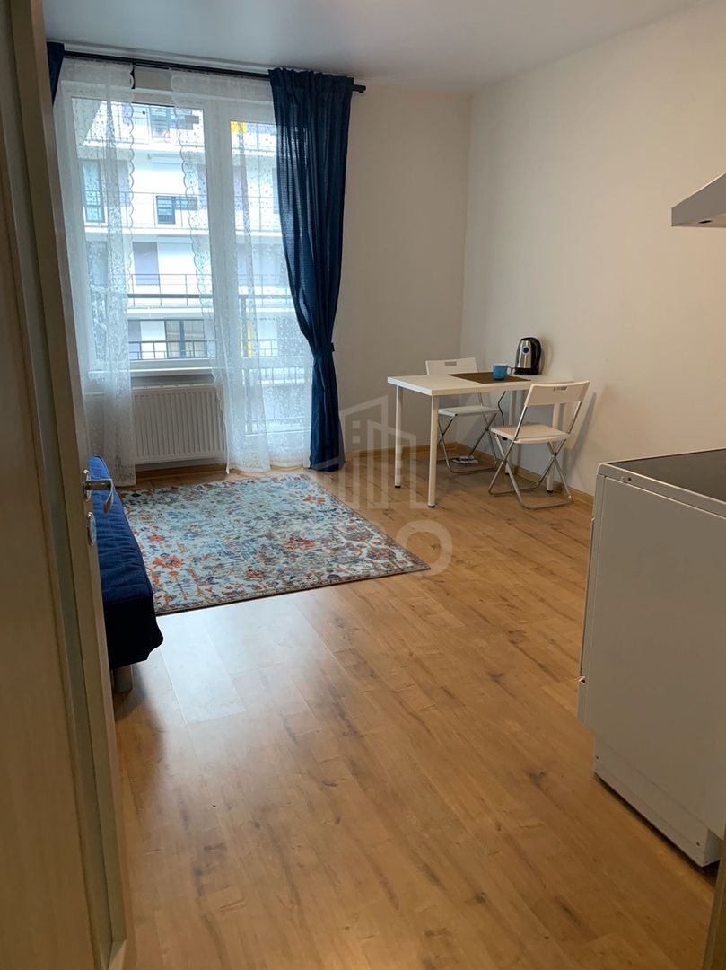 однокомнатная квартира в Санкт-Петербурге по адресу: Александра Грина б-р., 1