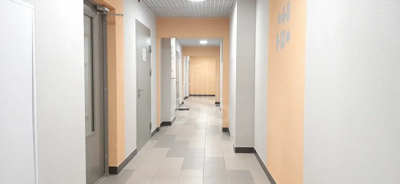 однокомнатная квартира в Санкт-Петербурге по адресу: Васнецовский проспект, 18, к 1