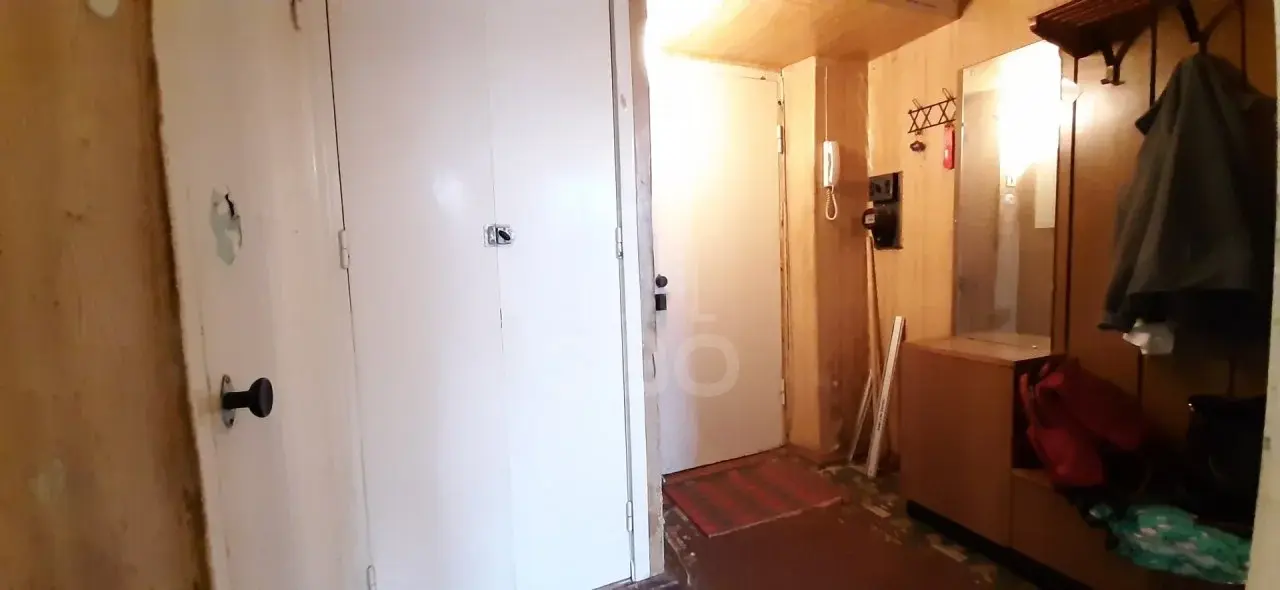 однокомнатная квартира в Санкт-Петербурге по адресу: Солдата Корзуна ул., 50