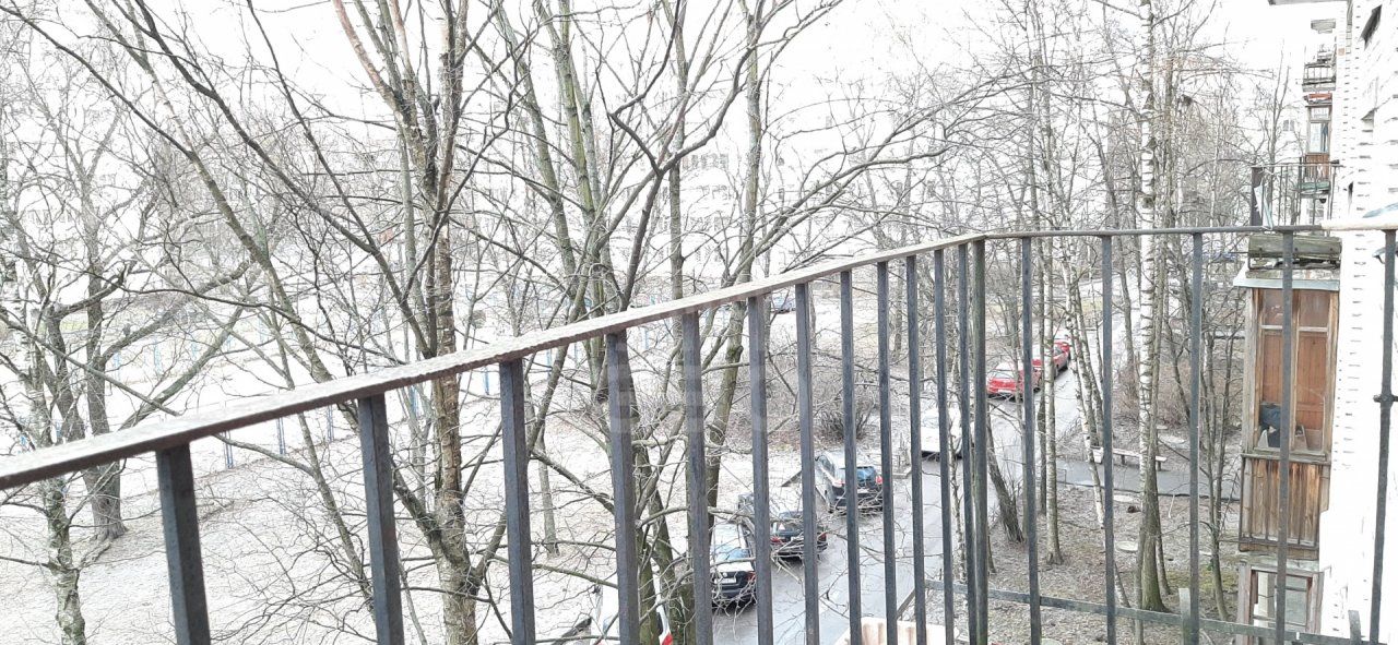 однокомнатная квартира в Санкт-Петербурге по адресу: Солдата Корзуна ул., 50