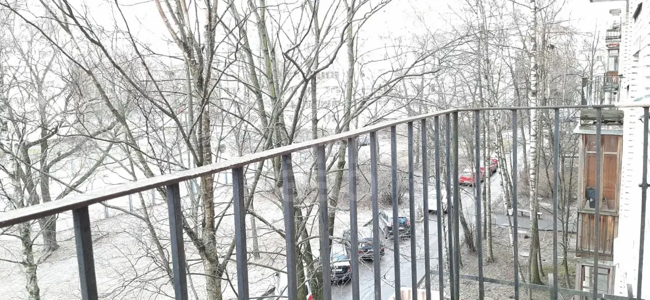 однокомнатная квартира в Санкт-Петербурге по адресу: Солдата Корзуна ул., 50