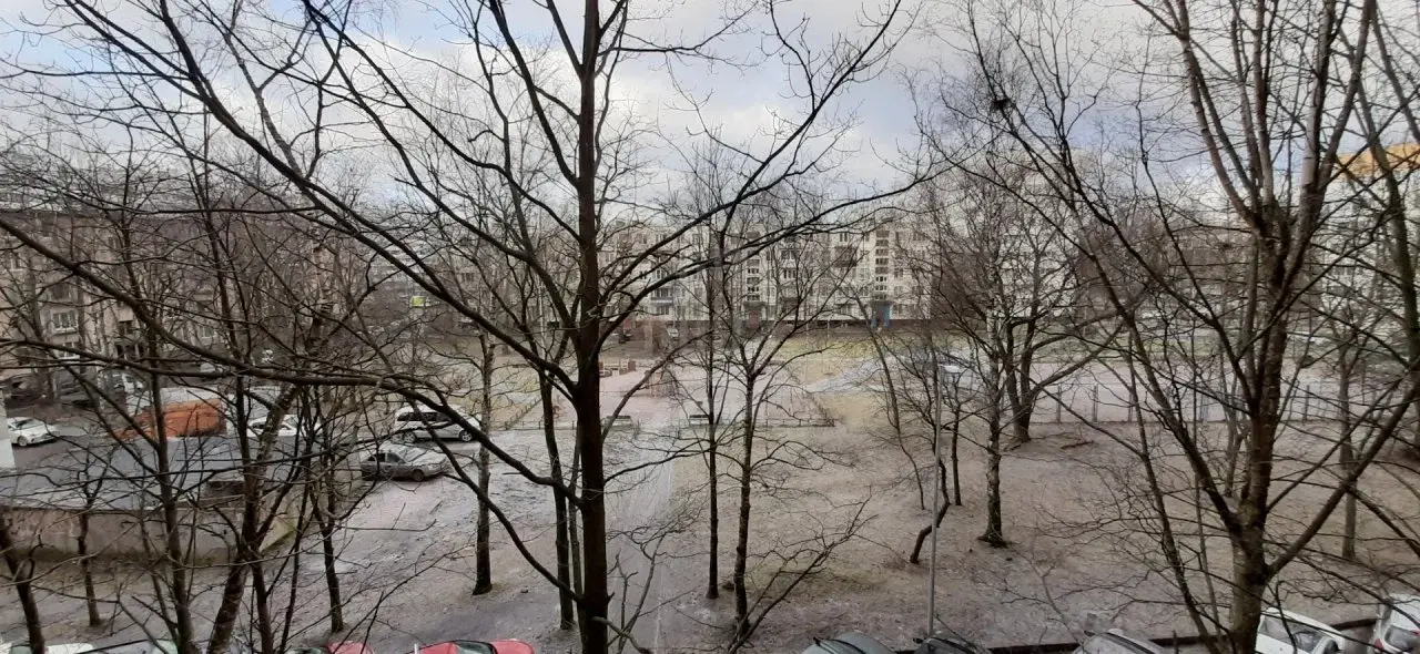 однокомнатная квартира в Санкт-Петербурге по адресу: Солдата Корзуна ул., 50