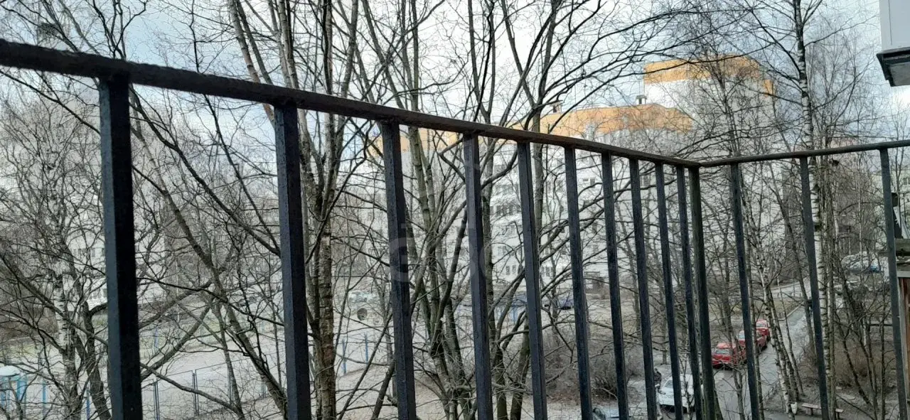 однокомнатная квартира в Санкт-Петербурге по адресу: Солдата Корзуна ул., 50