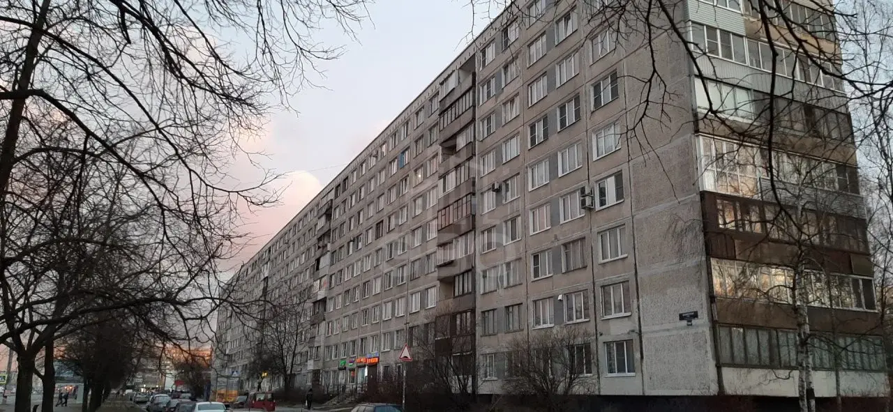 однокомнатная квартира в Санкт-Петербурге по адресу: Бухарестская ул., 39, к 1