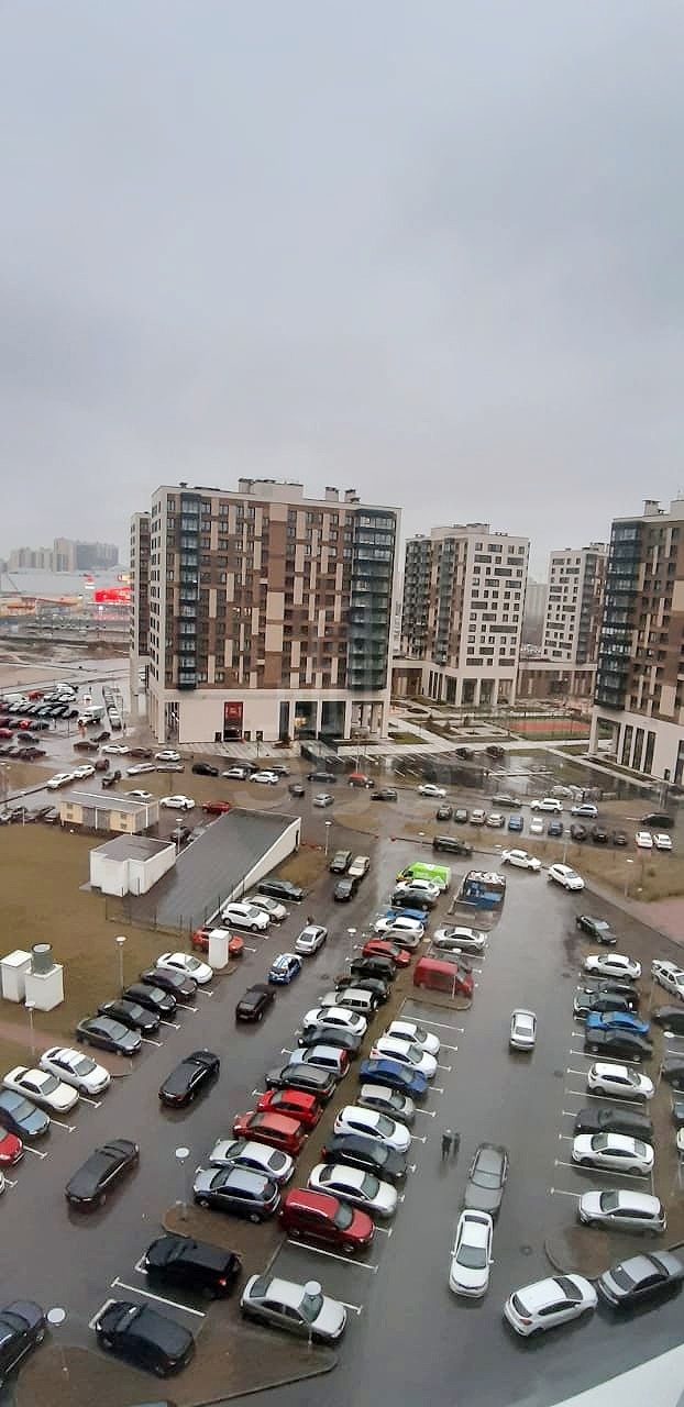 двухкомнатная квартира в Санкт-Петербурге по адресу: Союзный проспект, 4