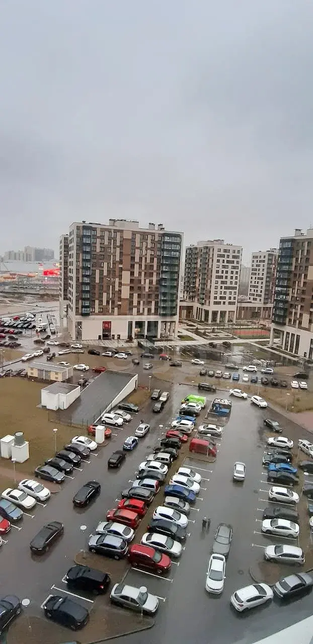 двухкомнатная квартира в Санкт-Петербурге по адресу: Союзный проспект, 4