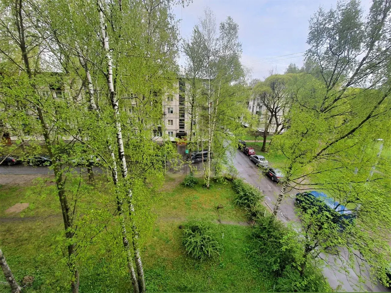 двухкомнатная квартира в Санкт-Петербурге по адресу: Карпинского ул., 31, к 3