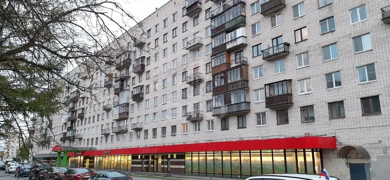 однокомнатная квартира в Санкт-Петербурге по адресу: Тореза проспект, 40, к 1
