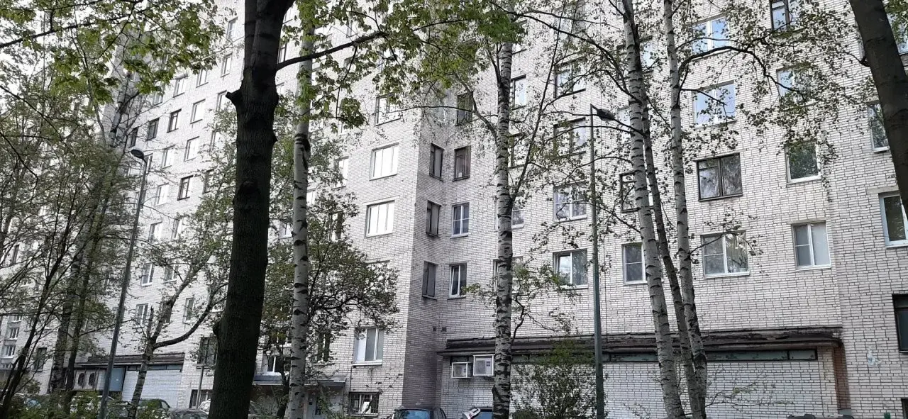 однокомнатная квартира в Санкт-Петербурге по адресу: Тореза проспект, 40, к 1