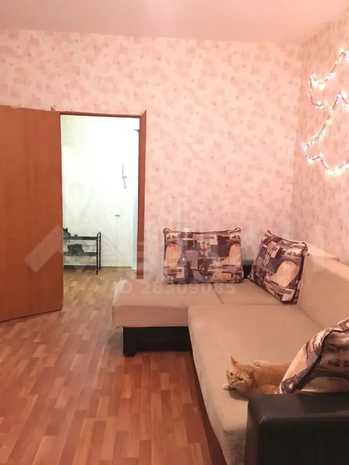 однокомнатная квартира в Санкт-Петербурге по адресу: Ленинский проспект, 53, к 4