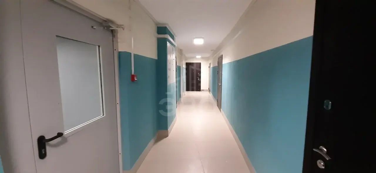 однокомнатная квартира в Санкт-Петербурге по адресу: Заневский проспект, 42, к 1