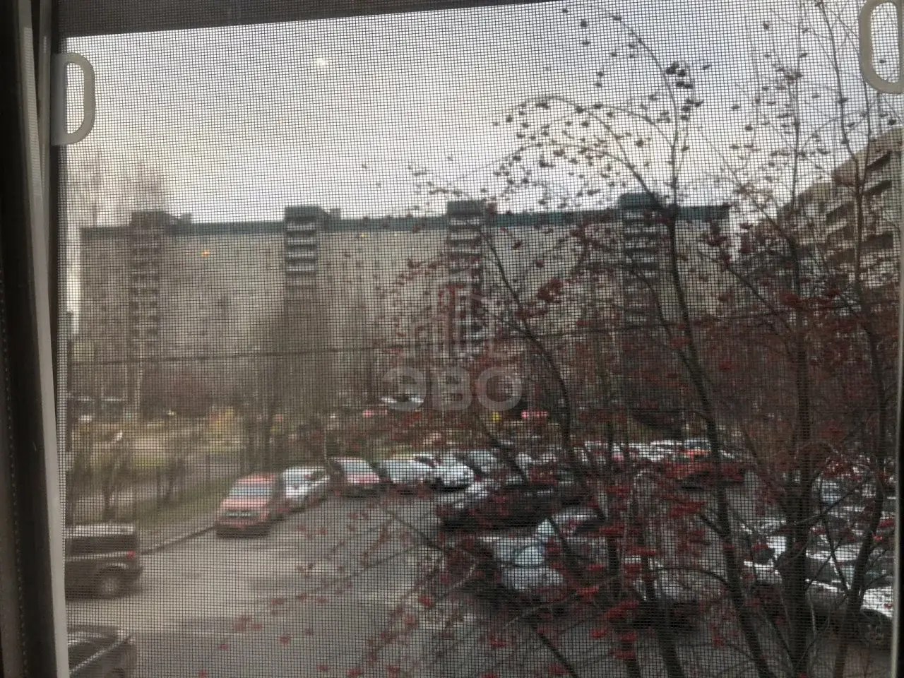 двухкомнатная квартира в Санкт-Петербурге по адресу: Джона Рида ул., 1/1