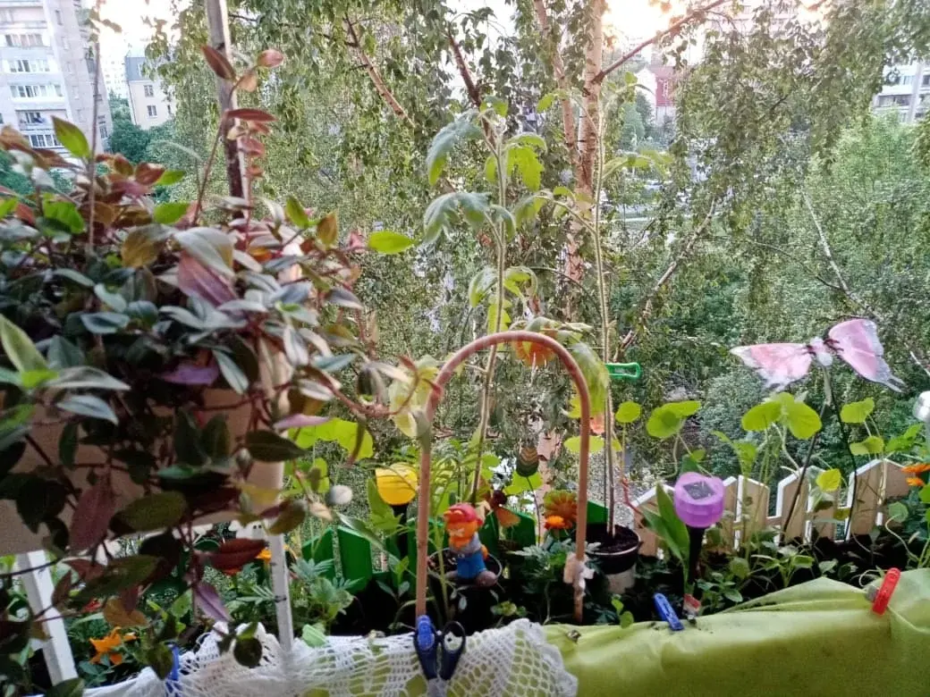 комната в Санкт-Петербурге по адресу: Культуры проспект, 25, к 3