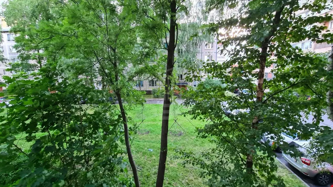 однокомнатная квартира в Санкт-Петербурге по адресу: Народная ул., 59, литера к