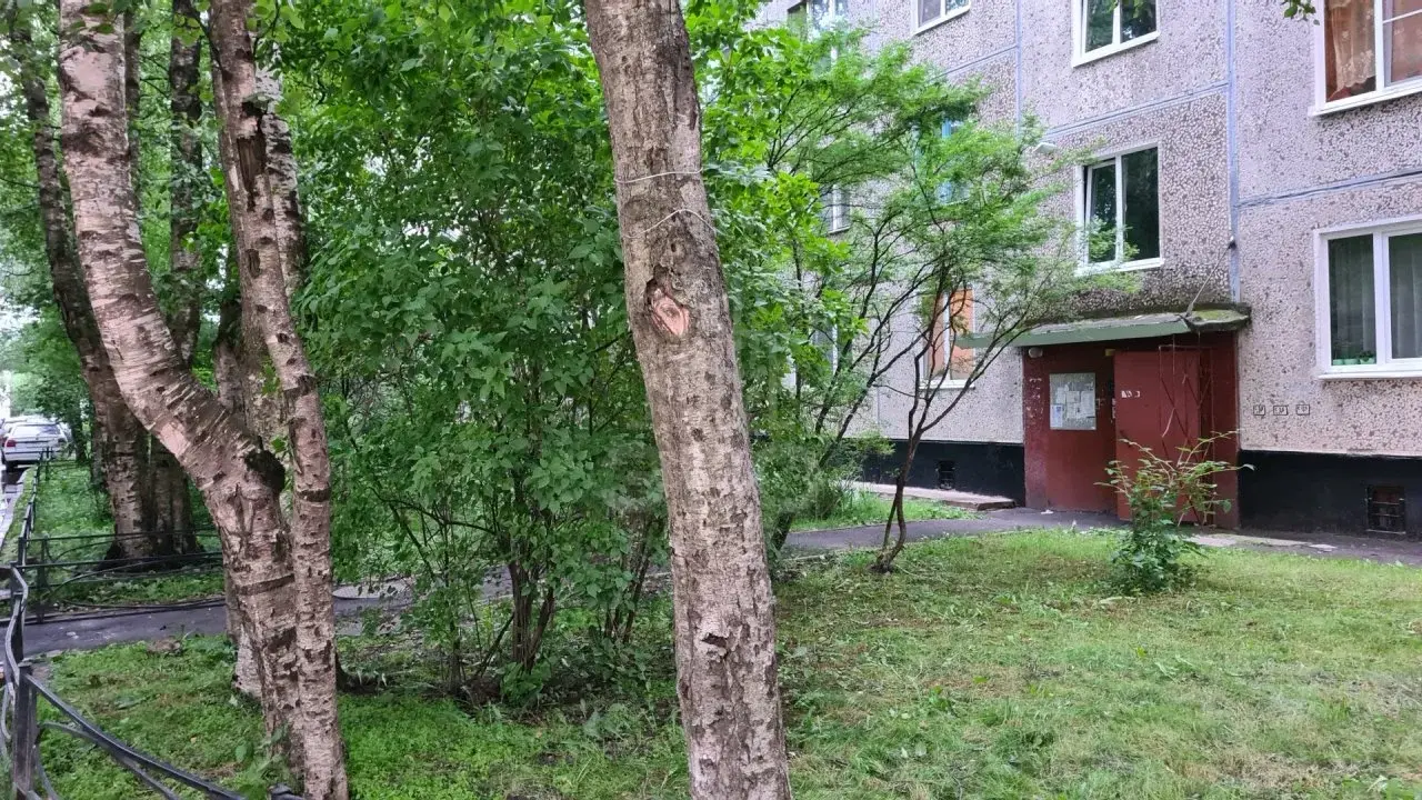 однокомнатная квартира в Санкт-Петербурге по адресу: Народная ул., 59, литера к
