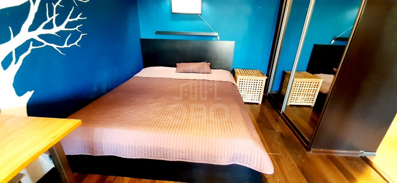 однокомнатная квартира в Санкт-Петербурге по адресу: Ланское ш., 12