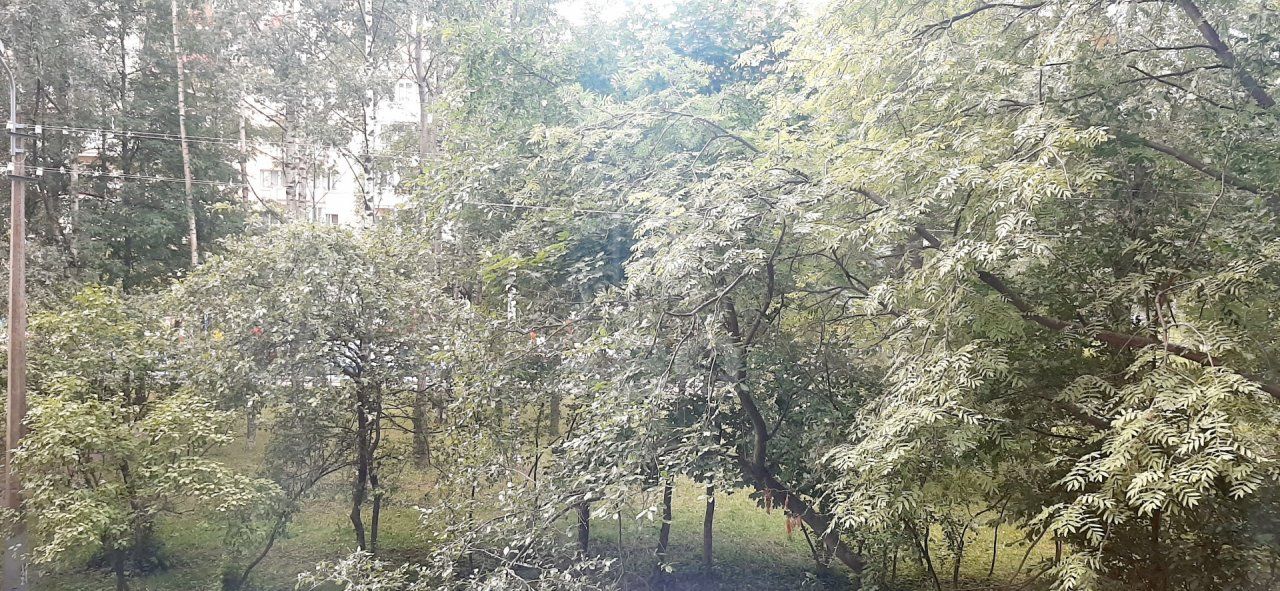 двухкомнатная квартира в Санкт-Петербурге по адресу: Светлановский проспект, 60, к 1