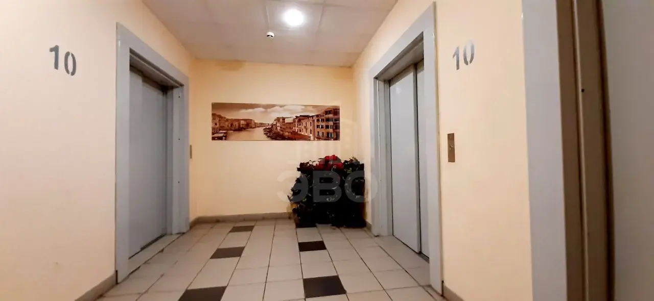 однокомнатная квартира в Санкт-Петербурге по адресу: Приморский проспект, 137, к 2