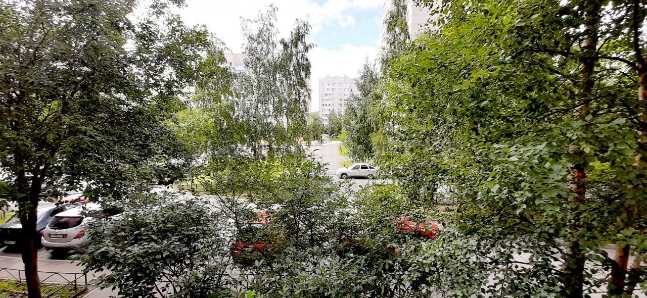 двухкомнатная квартира в Санкт-Петербурге по адресу: Шуваловский проспект, 51, к 1