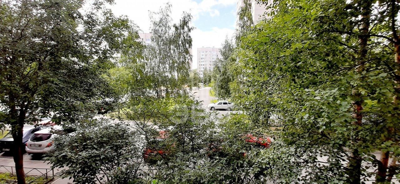 двухкомнатная квартира в Санкт-Петербурге по адресу: Шуваловский проспект, 51, к 1