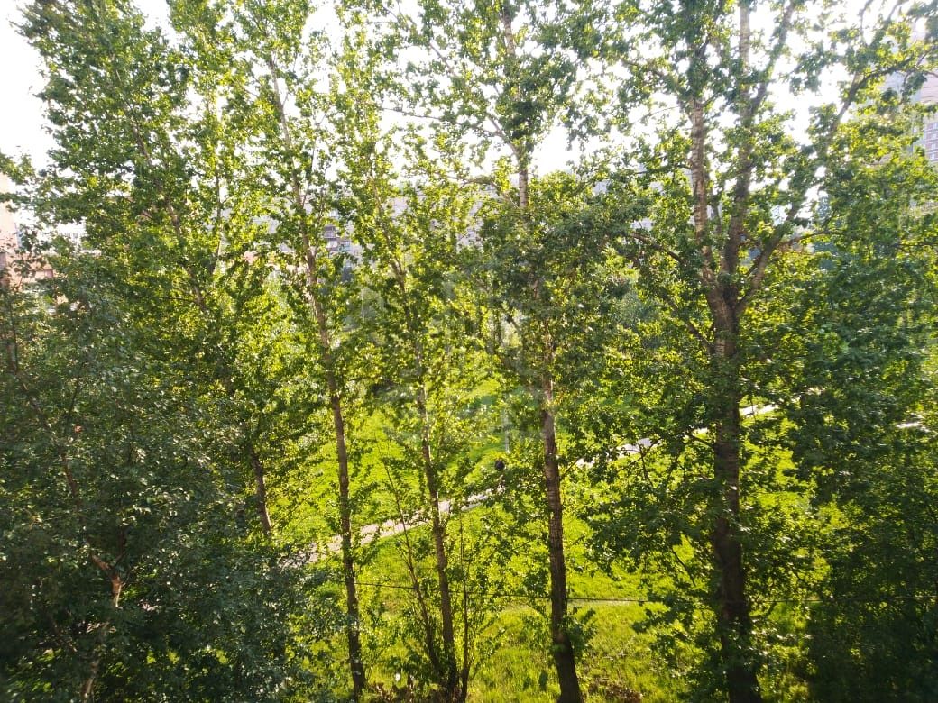 комната в Санкт-Петербурге по адресу: Купчинская ул., 19, к 3