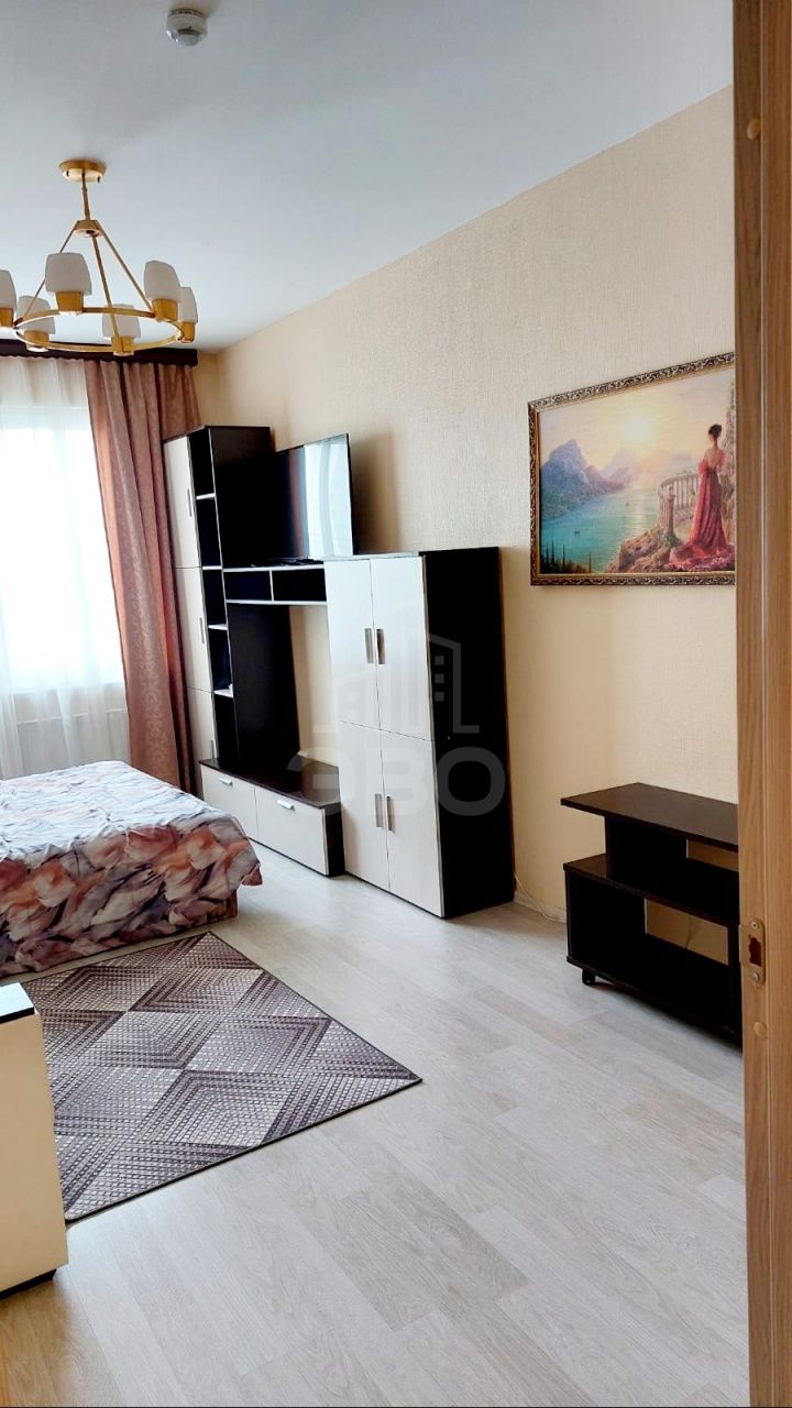 однокомнатная квартира в Санкт-Петербурге по адресу: Муринская дорога., 51, к 1