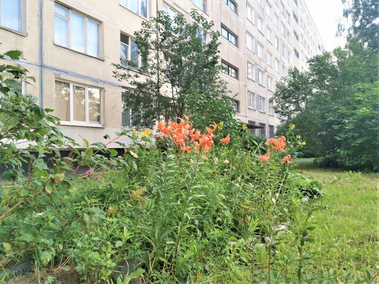 двухкомнатная квартира в Санкт-Петербурге по адресу: Солидарности проспект, 23, к 1