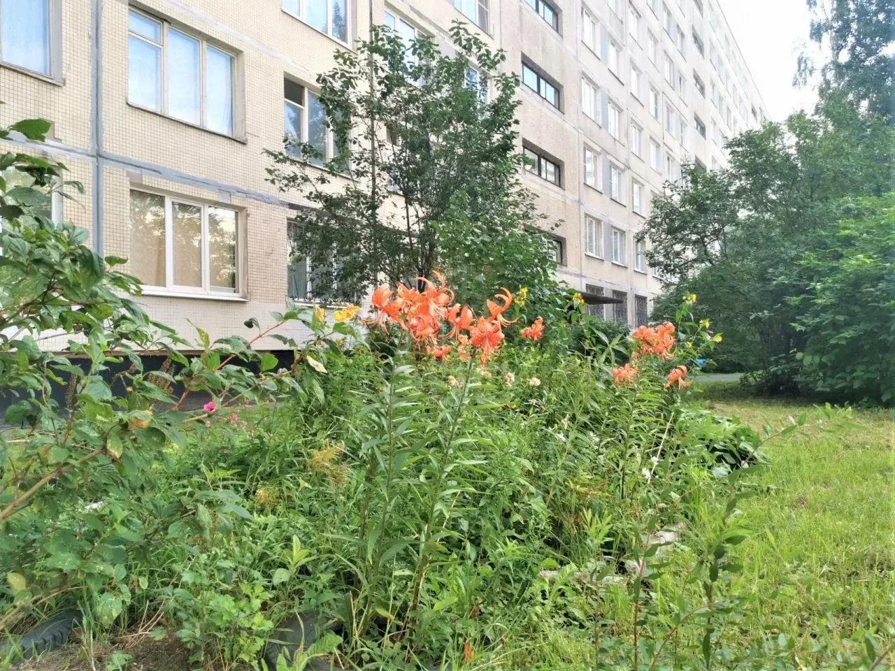 двухкомнатная квартира в Санкт-Петербурге по адресу: Солидарности проспект, 23, к 1