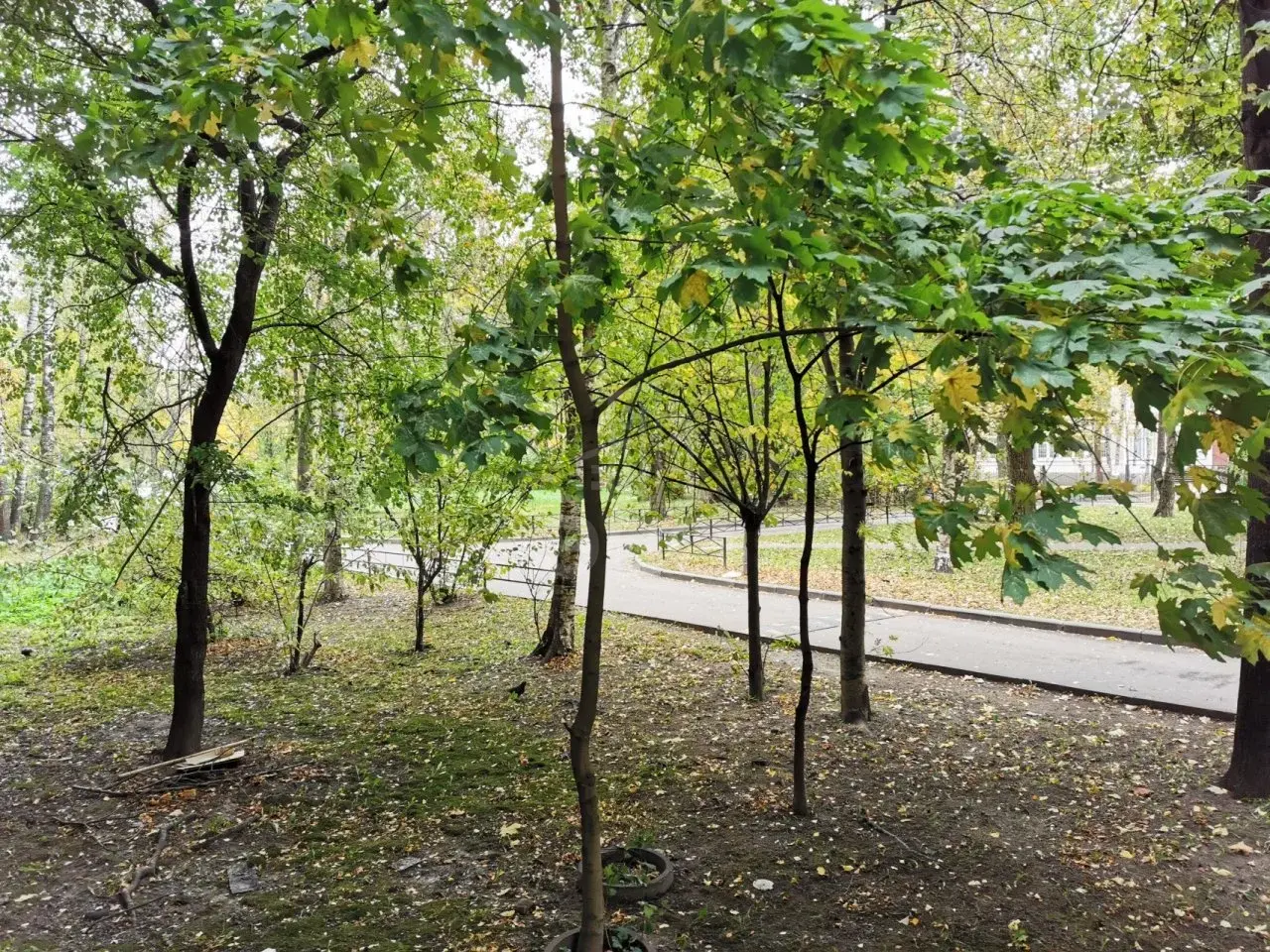 однокомнатная квартира в Санкт-Петербурге по адресу: Товарищеский проспект, 4, литера З