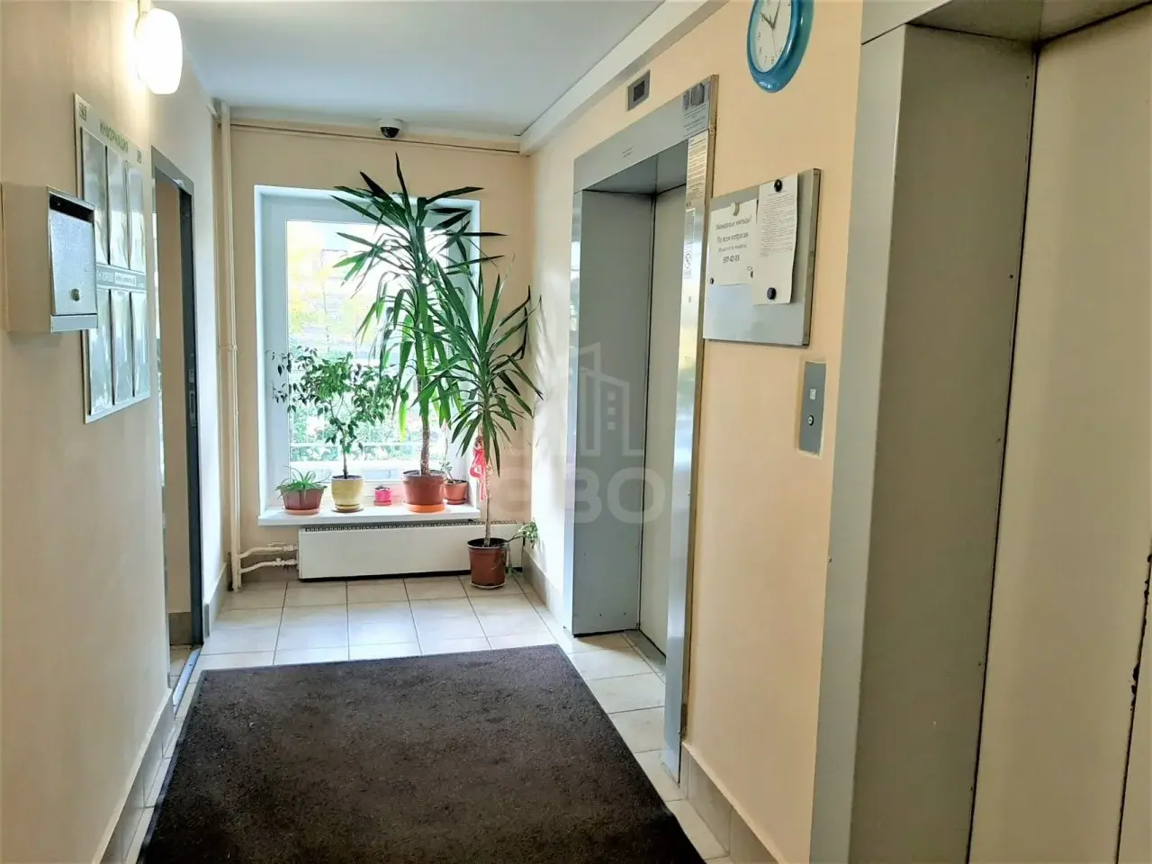 двухкомнатная квартира в Санкт-Петербурге по адресу: Асафьева ул., 5, к 1