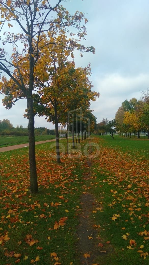 однокомнатная квартира в Санкт-Петербурге по адресу: Ленинский проспект, 82, к 1