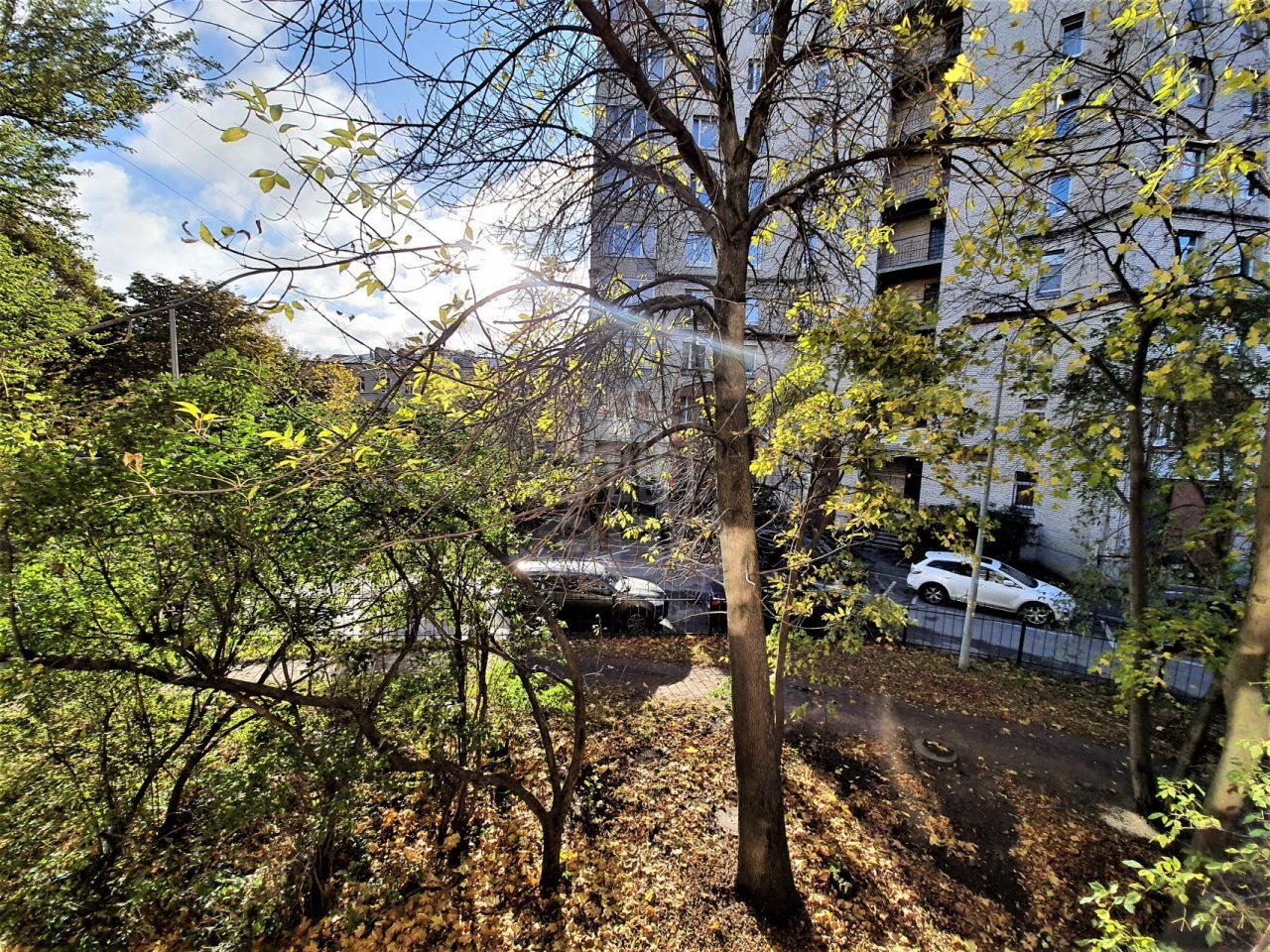 однокомнатная квартира в Санкт-Петербурге по адресу: Энгельса проспект, 61