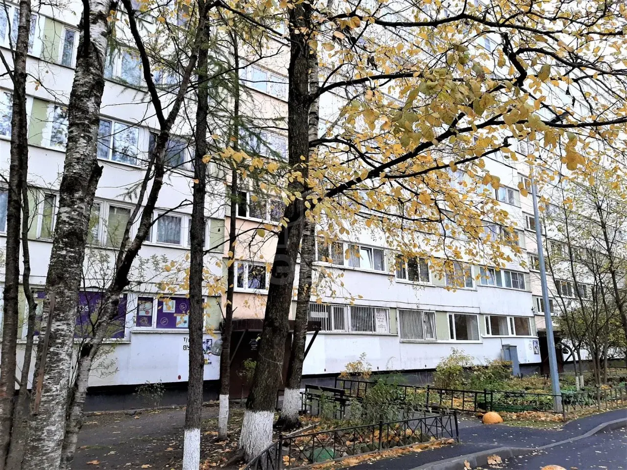 однокомнатная квартира в Санкт-Петербурге по адресу: Есенина ул., 12, к 1