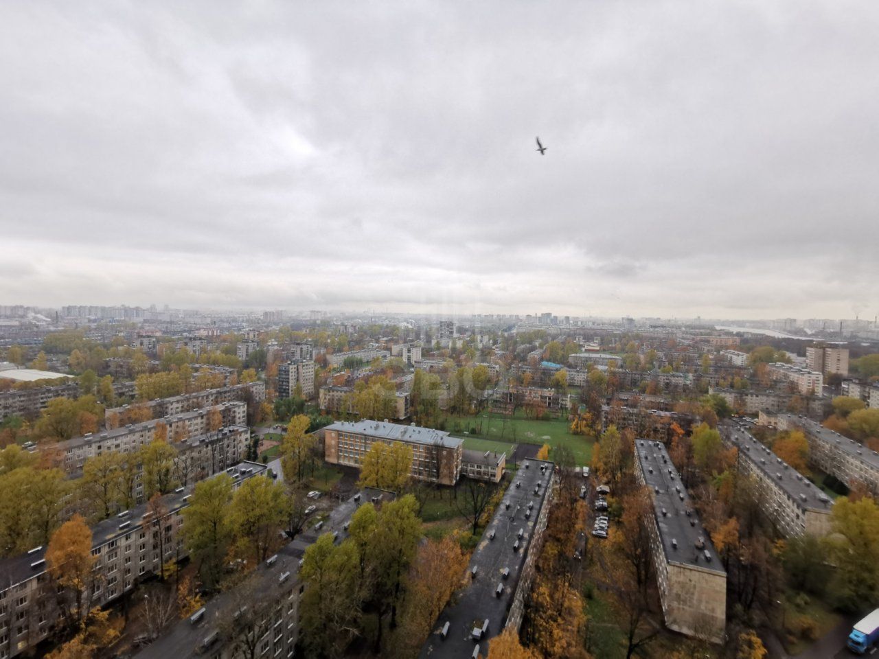 однокомнатная квартира в Санкт-Петербурге по адресу: Александровской Фермы проспект, 8, к 1