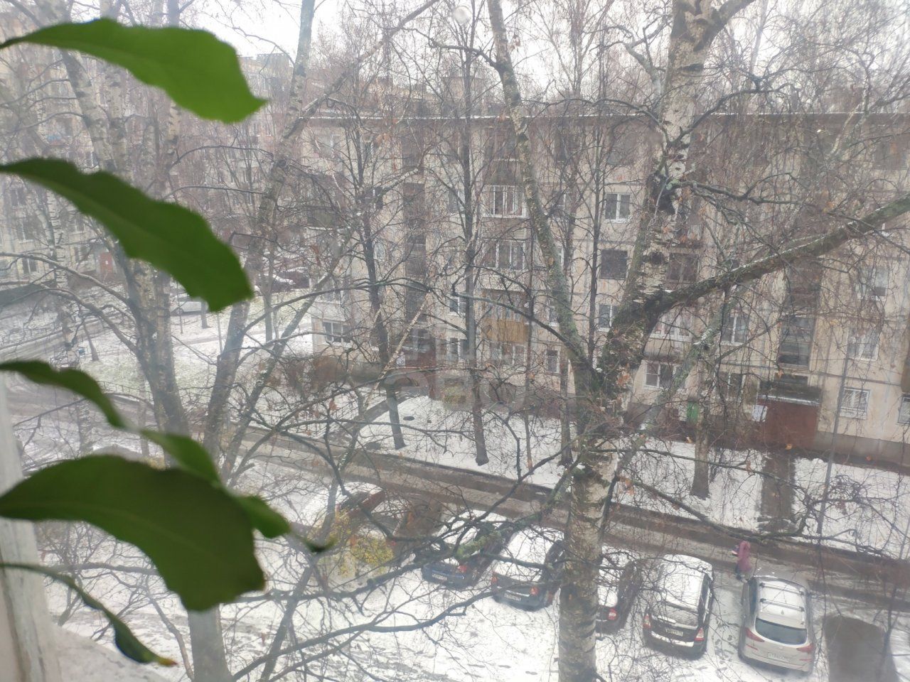 комната в Санкт-Петербурге по адресу: Замшина ул., 39, к 1