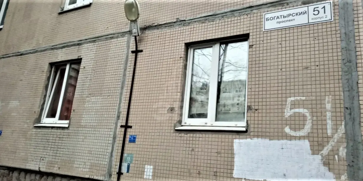 однокомнатная квартира в Санкт-Петербурге по адресу: Богатырский проспект, 51, к 2