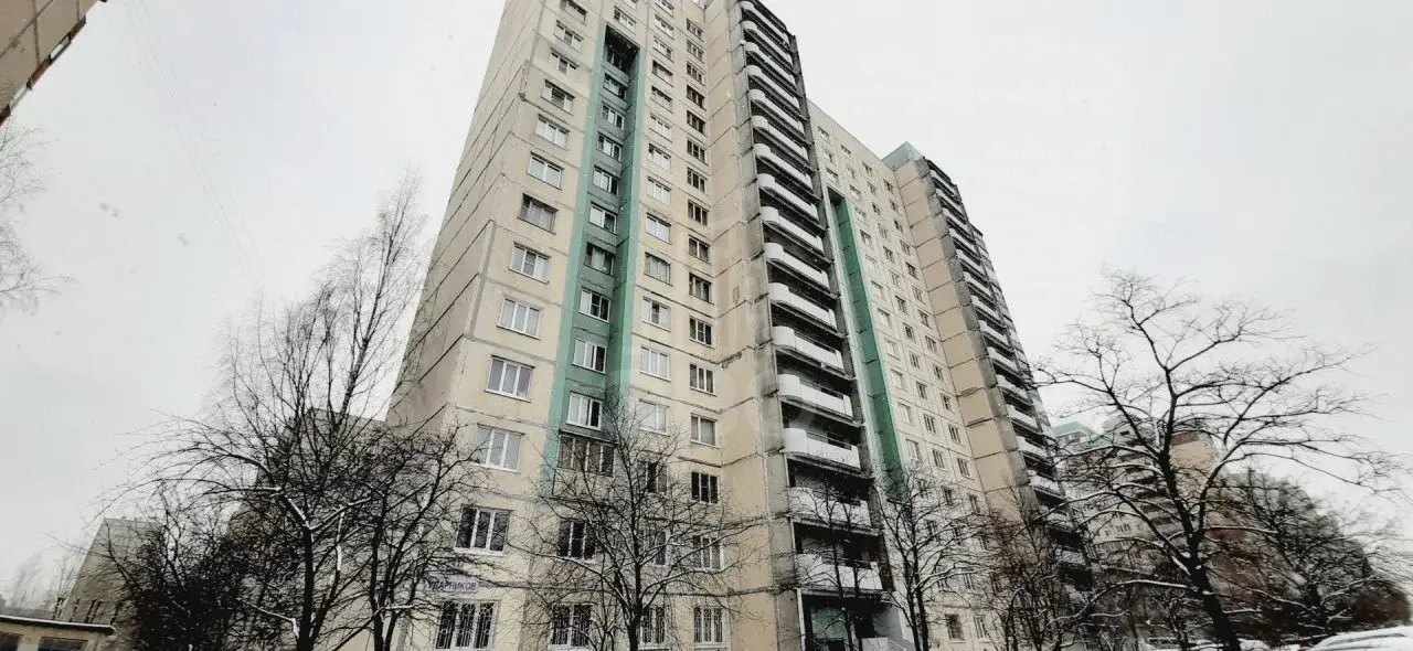 двухкомнатная квартира в Санкт-Петербурге по адресу: Ударников проспект, 41, к 1